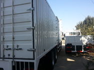 Biały 41-50 Ton Pojemność Ciężarówka Ciężarowa Typ paliwa Diesel Opcjonalna jazda