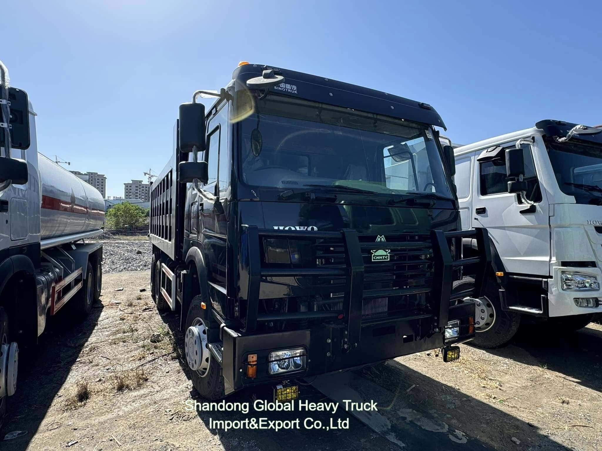 Sinotruck HOWO 6X6 8X4 6X4 10 Koła 12 Koła Ciężarówka z wywrotem