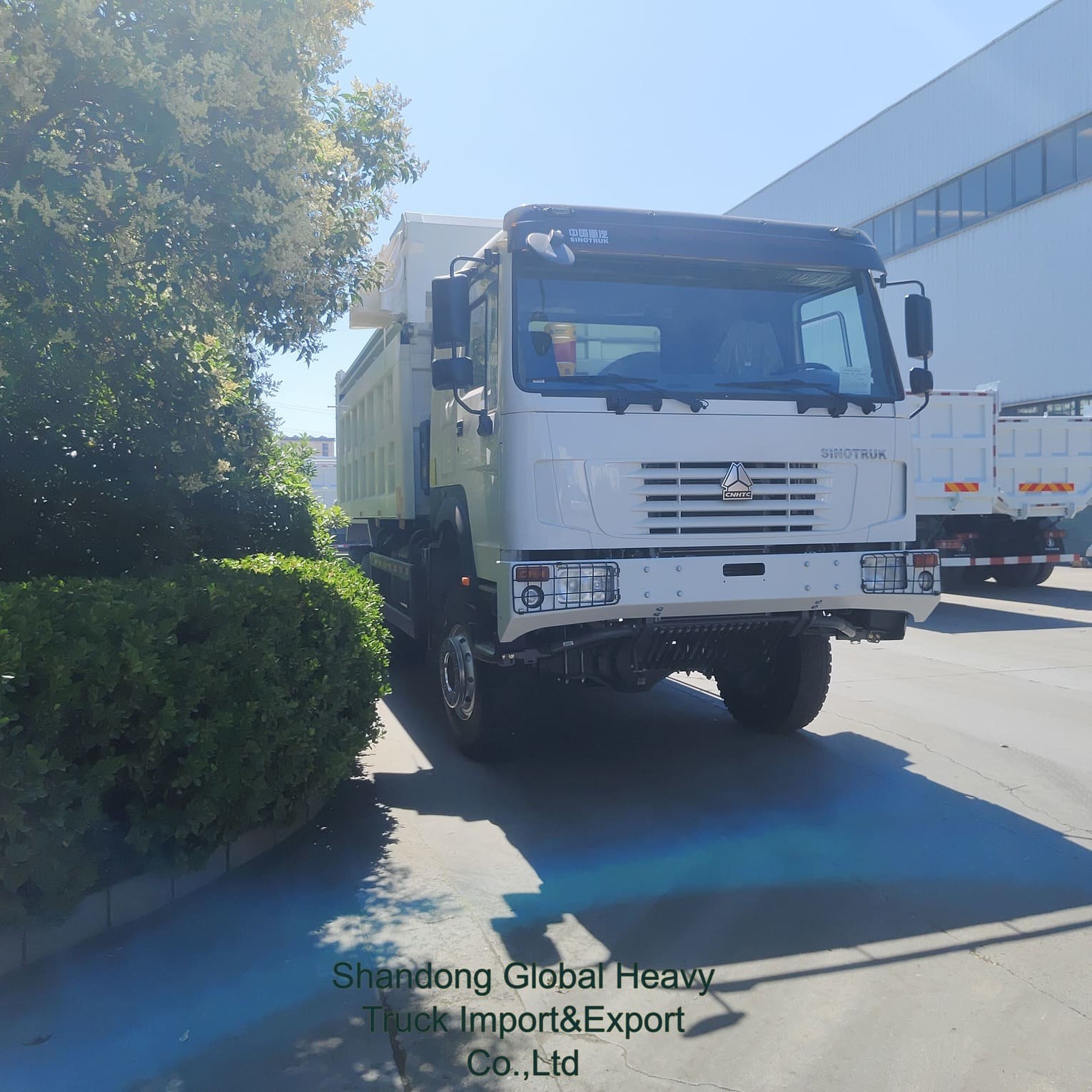 Sinotruk HOWO 6X4 371KM 380KM 8X4 400KM Wywrotka Wywrotka Diesel Sinotruck